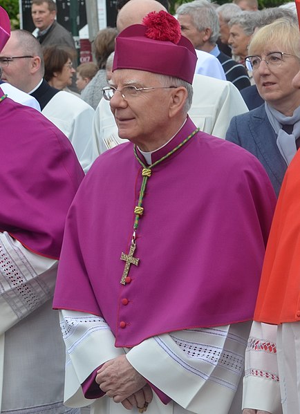 Marek Jędraszewski krytycznie o LGBT.