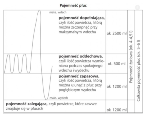 Naukowe fakty w sprawie maseczki przeciw koronawirusowi 3 image 9