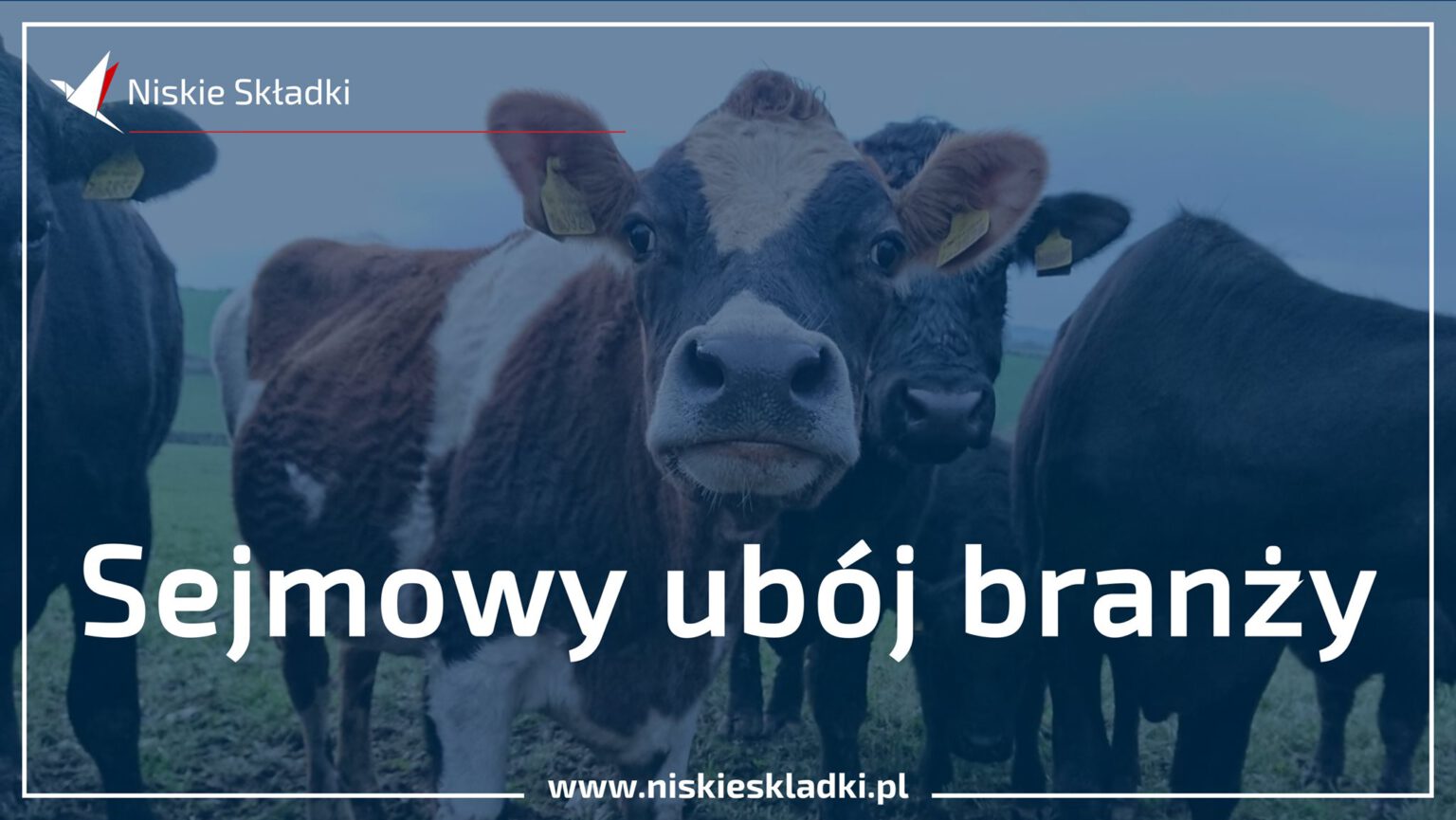 Niskie Składki: sejmowy ubój branży Niskie Skladki sejmowy uboj branzy 1