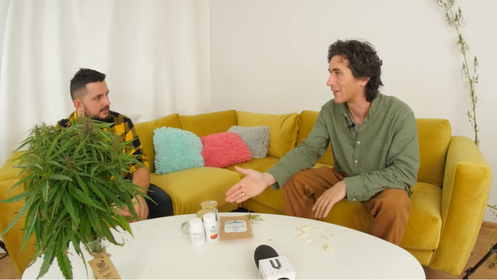 4,2 mln zł w 40 minut! Sukces emisji Kombinatu Konopnego Screenshot 1 2