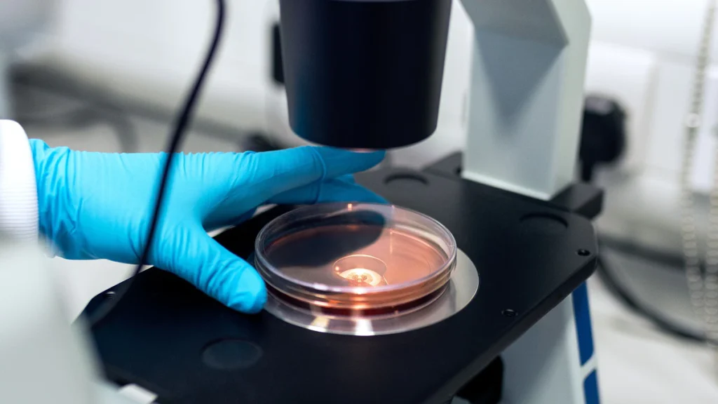 Biomed-Lublin: koniec badań nad polskim lekiem na COVID-19. Kurs akcji runął biomed lublin