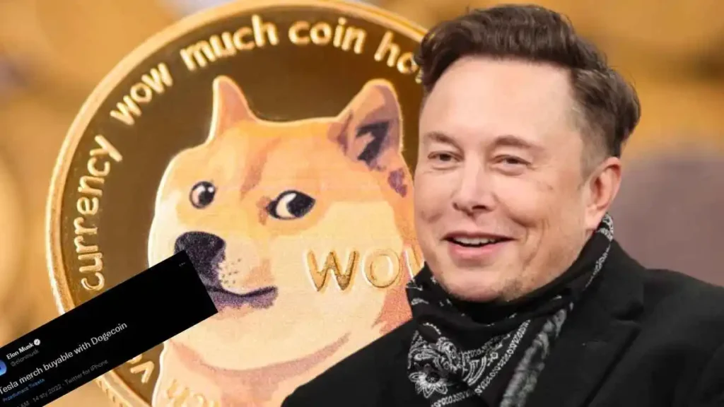 elon musk doge coin