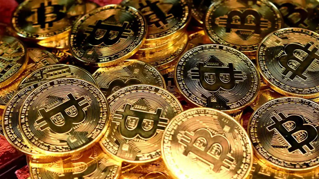 salwador bitcoin black friday
